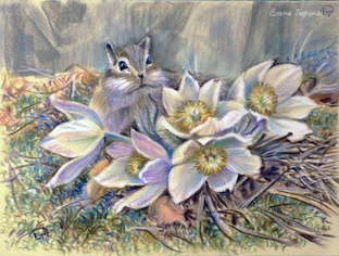 Животные пастелью