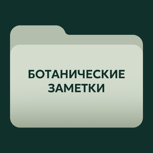 Ботанические заметки
