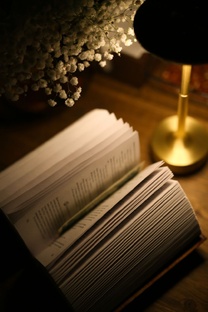 ОТЗЫВЫ О КНИГАХ