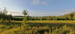 Фотоловушка 