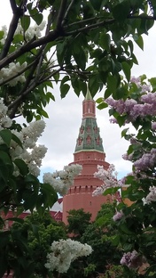 Прогулки по Москве