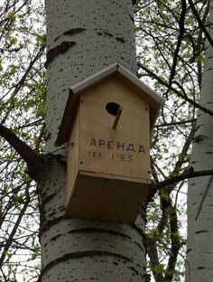 Юмор, мемы и анекдоты 