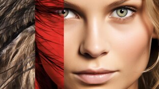 Миры художников и фотографов