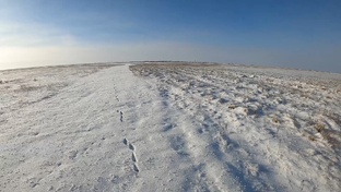 Охота