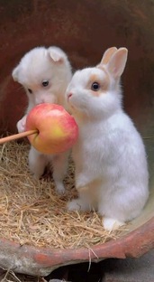 Интересное рядом.