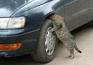 Ремонт авто