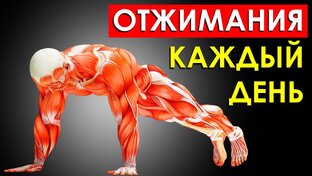 Как правильно тренироваться 