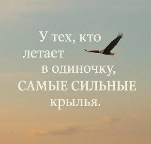Цитаты 