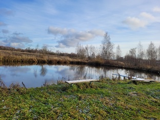 Видео про дачу и город