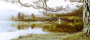 Творчество