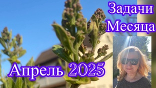 ТАРО ПРОГНОЗ АПРЕЛЬ 2025