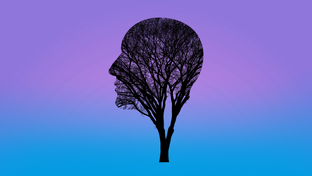 💜 Философия и социальная психология