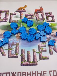 Настольные игры и другие увлечения.