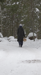 путешествие на выходной в Лен.области
