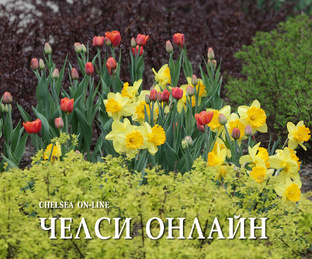 СОБЫТИЕ ГОДА