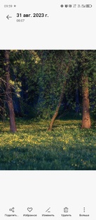 Это прекрасно