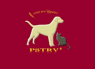 Луга 🌙  и  Лилу 🐈