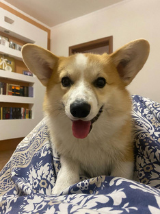 Информация про Маньку!