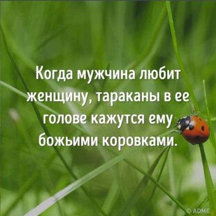 Эмоции в нашей жизни