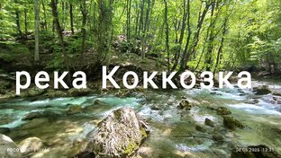 Коккозка 