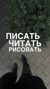 Эстетический интеллект