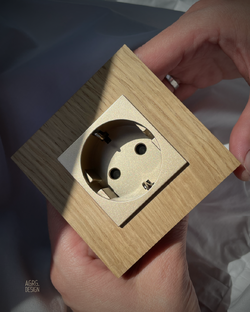 Устройства для системы умный дом из натурального дерева.