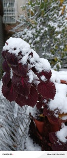 Второй год землевладения