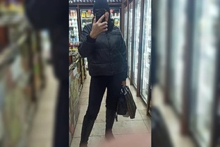 Сызранская сутяжница