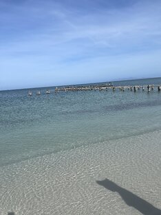 Венесуэла 🇻🇪 