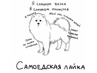 Режимы из схема-терапии