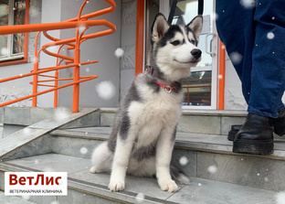 Внимание! НОВЫЙ ГОД!