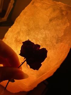 Отношения❤️