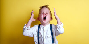 Детское воспитание