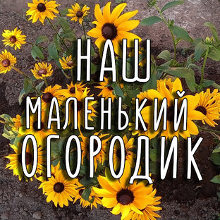 🍓Огород🌽