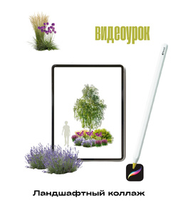 ✅ открытые видеоуроки