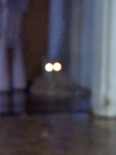 сила в каждом живом существе.