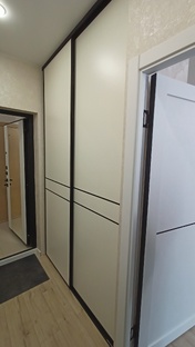 Шкаф купе встроенный в прихожую