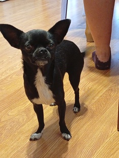 РОЗОЧКА ДОЗОЧКА МХАЗАЗА😃🕺😱