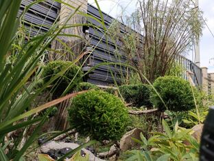 Декор в саду 