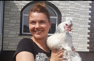 ДОМАШНЯЯ ПТИЦА. КУРЫ, УТКИ...