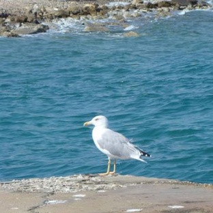 👫🏻 #паребрикупарадной