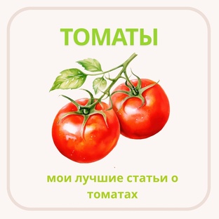 Томаты