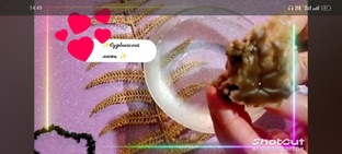Судьбоносное время
