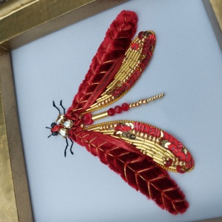 МК Стрекоза