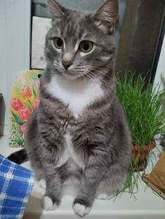 Веселые мотивационые видео и картинки 