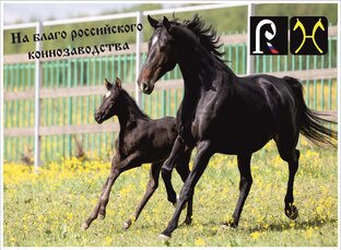 Законодательство в племенном деле