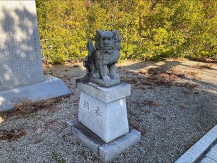 Повседневность