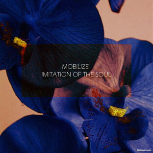 Imitation Of The Soul