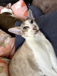 Воскресное Валяние