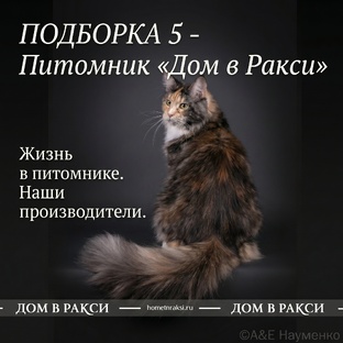 Питомник "Дом в Ракси"